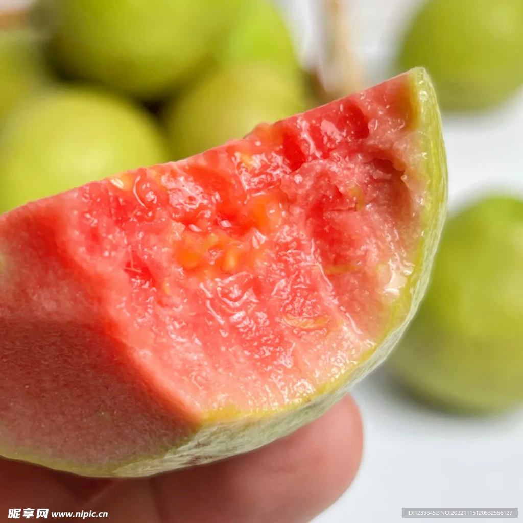 红心芭乐