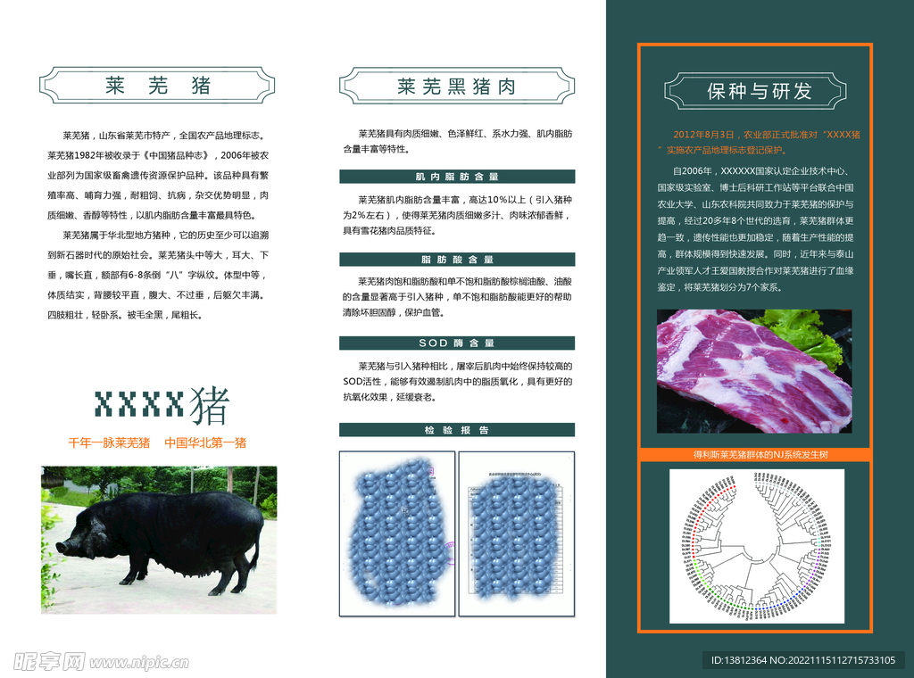 黑猪肉二折页