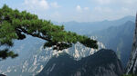 西岳华山