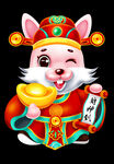 兔年