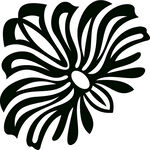 花纹