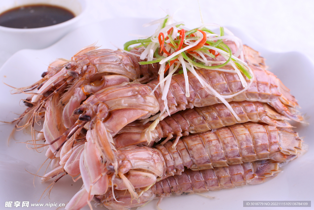 虾扒子