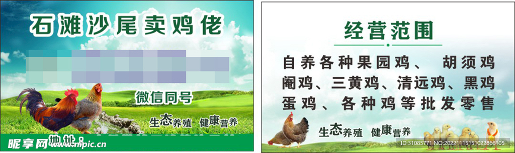 鸡场名片