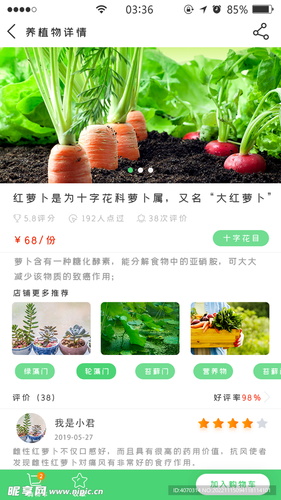 绿色扁平简约养植物app详情