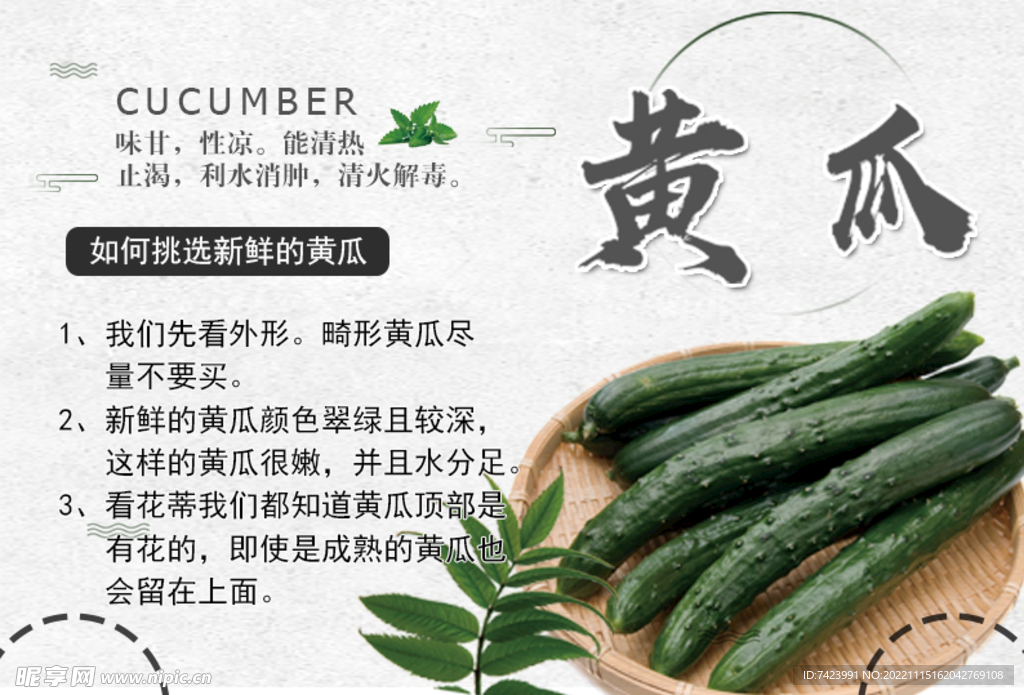 黄瓜海报