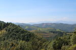 生态山