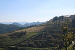 山谷梯田
