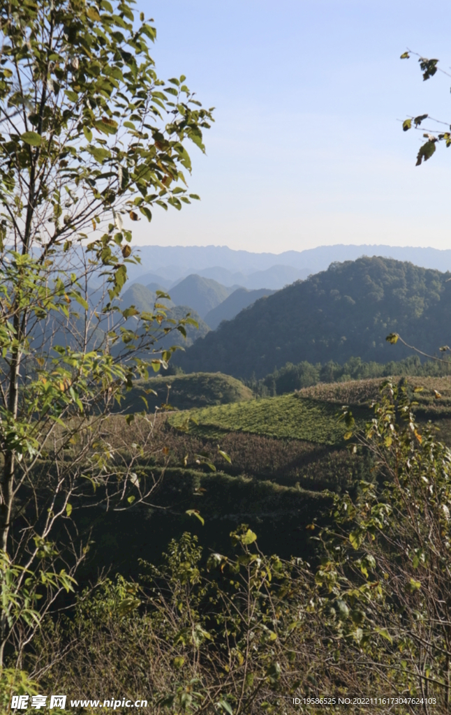 原生态山