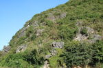 山