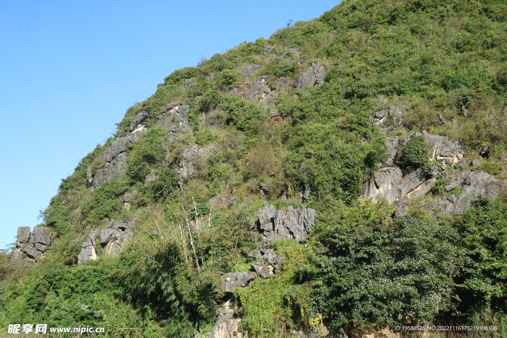 山