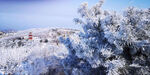 泰山雪景摄影