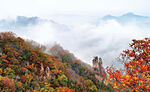 泰山秋景