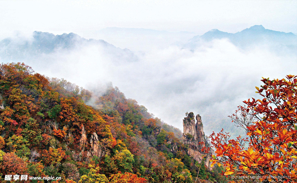 泰山秋景