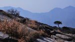 庐山