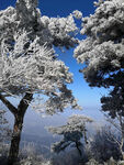 庐山雪景摄影图