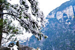 庐山雪景摄影