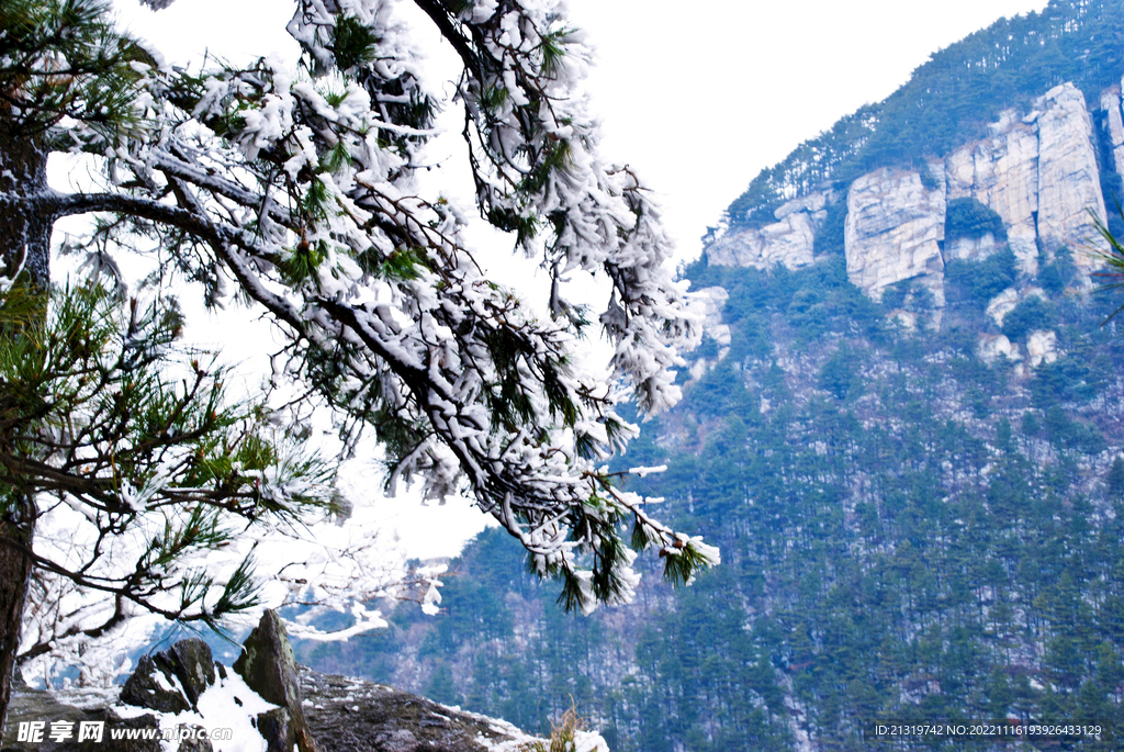 庐山雪景摄影