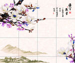 兰花
