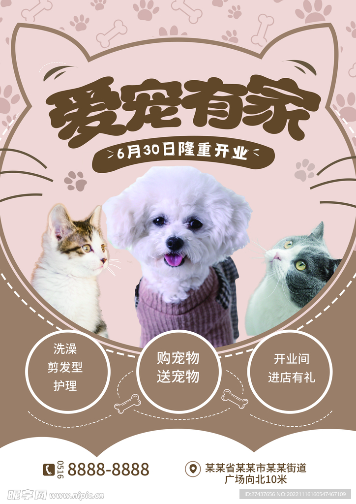 宠物海报 