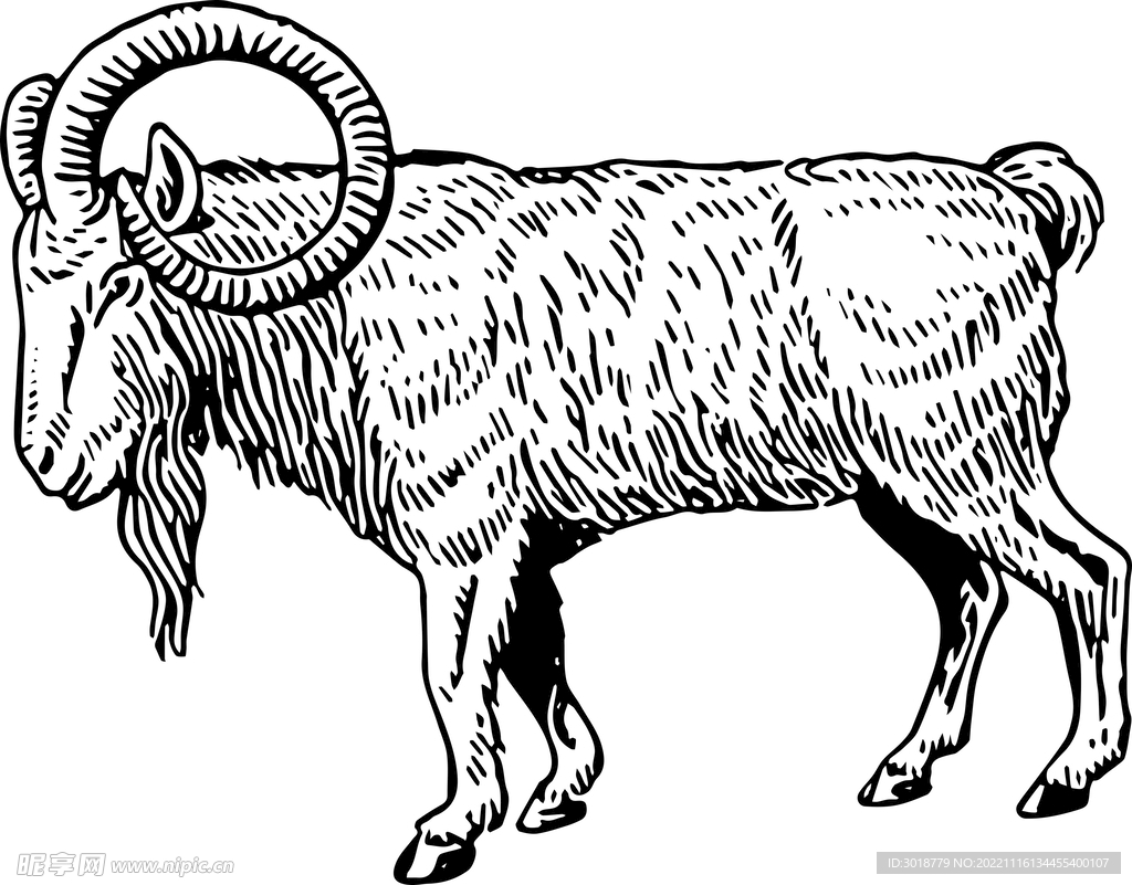 Rove goat Sheep Stock photography Stock illustration - Vector kawaii ...