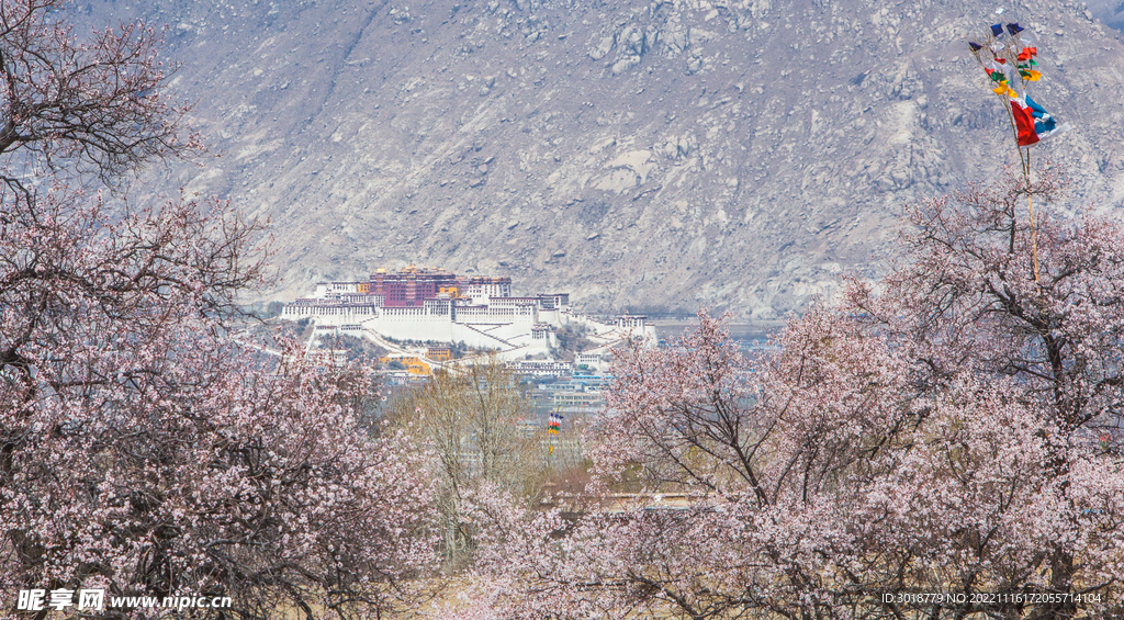 林芝桃花沟