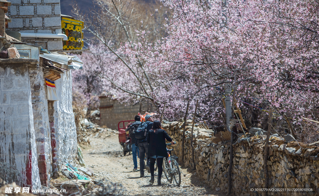 林芝桃花沟