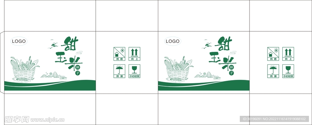 玉米种子平面图