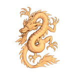 龙