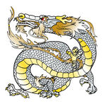 龙