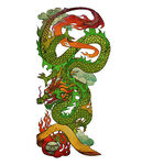 龙