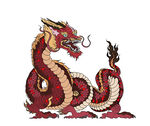龙