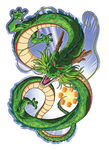 龙
