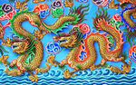 龙