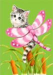 花草猫
