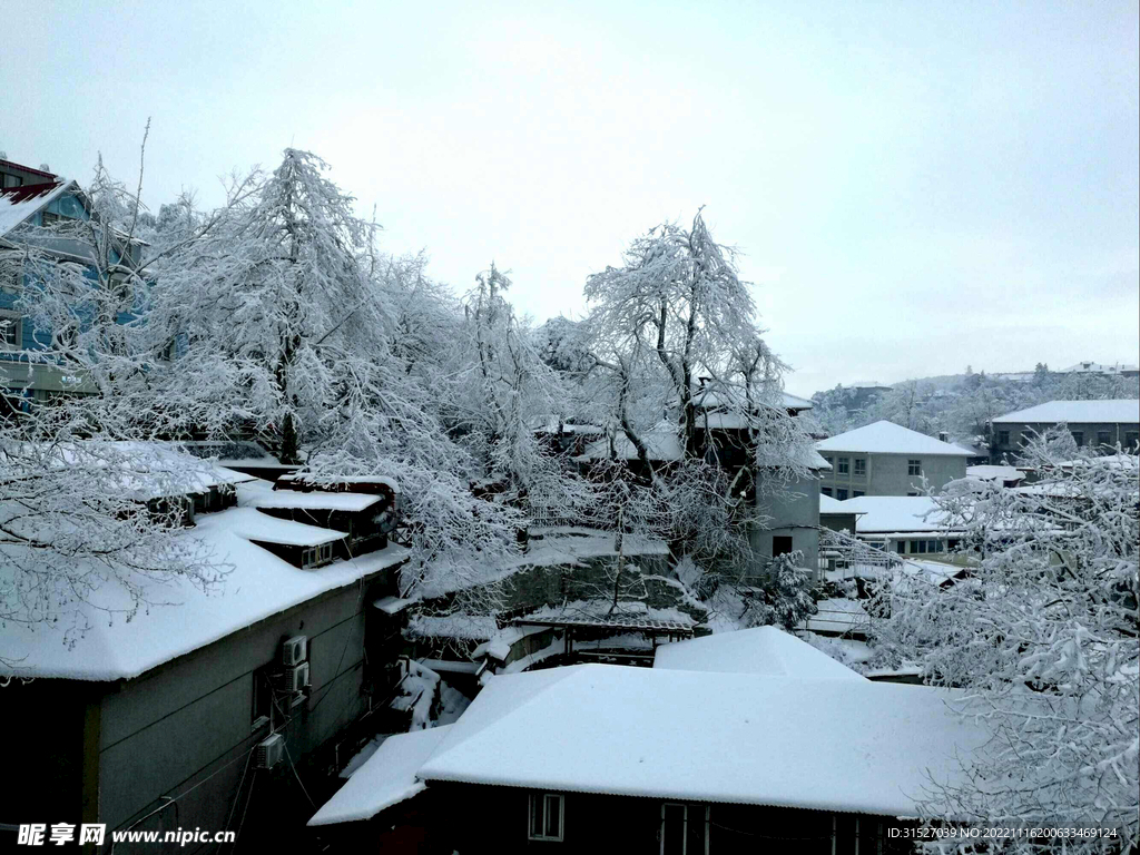 庐山冬日雪景