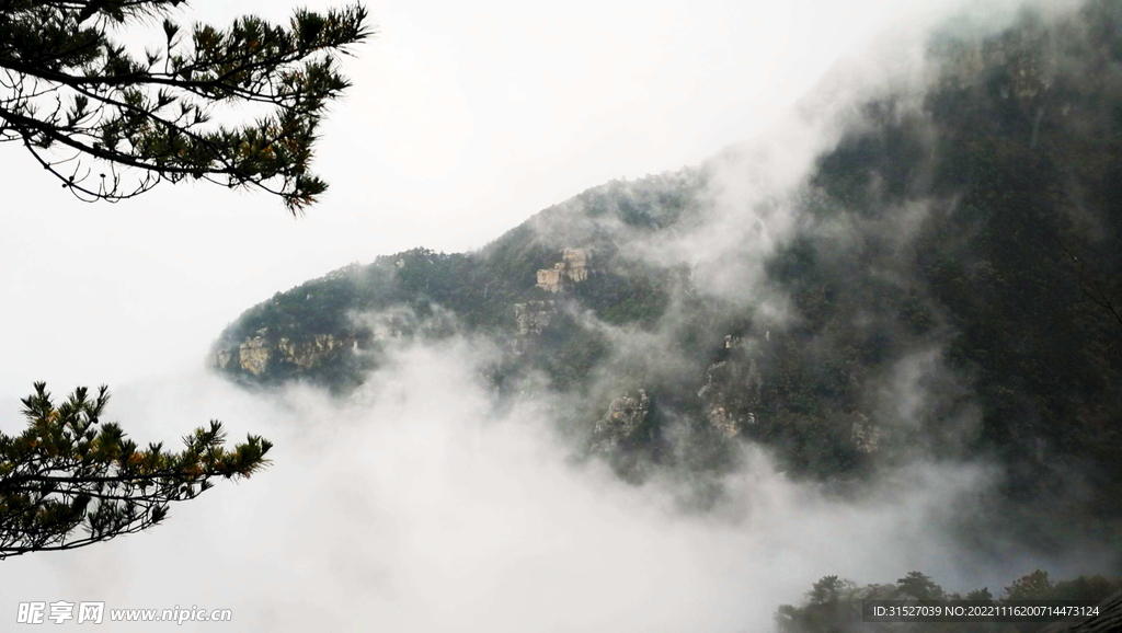 云雾庐山