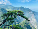 庐山景色