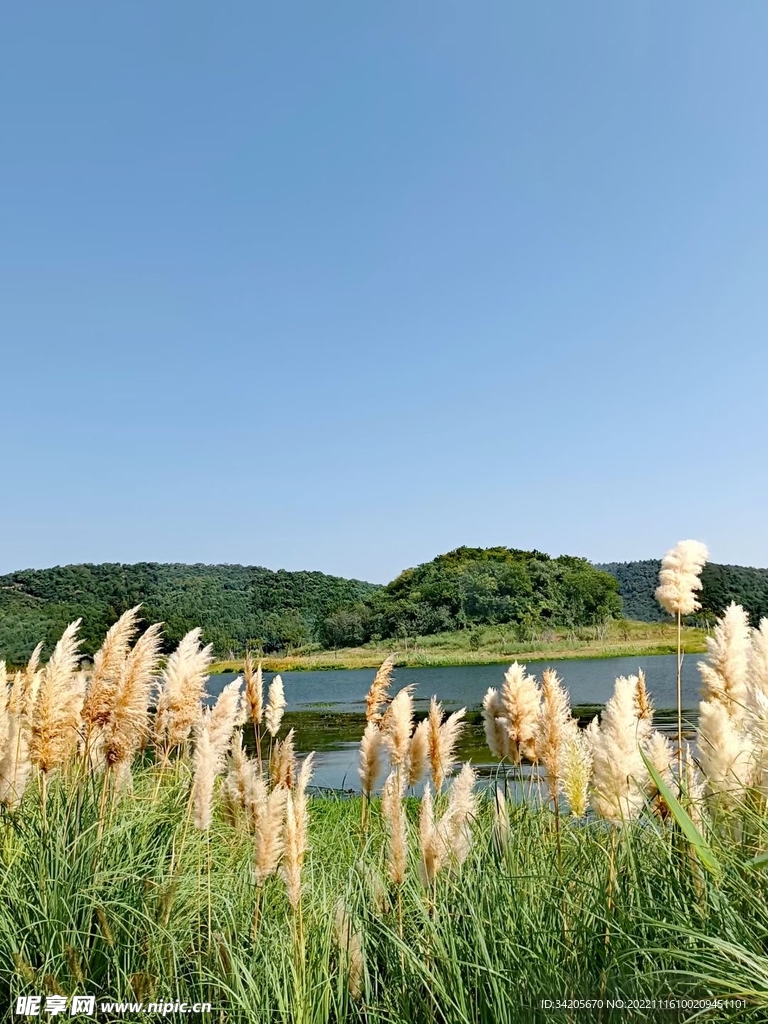 秋天湖光山色