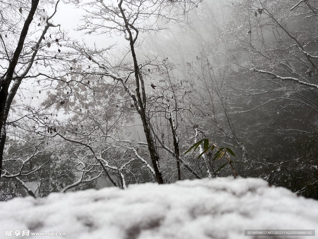 雪景