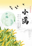 小满