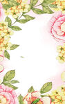 花边B