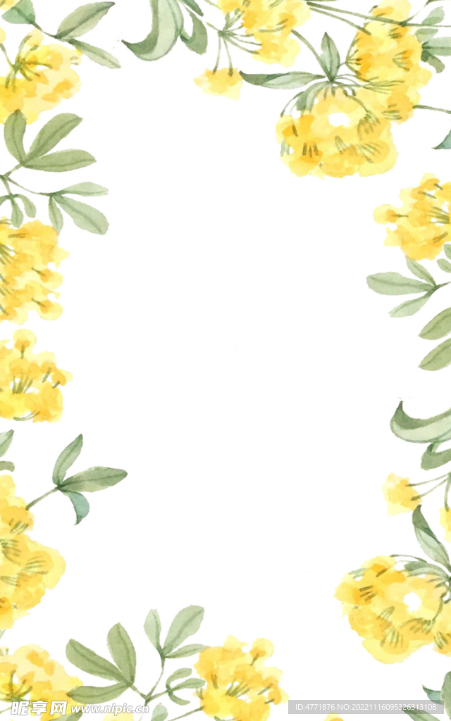 黄色花卉