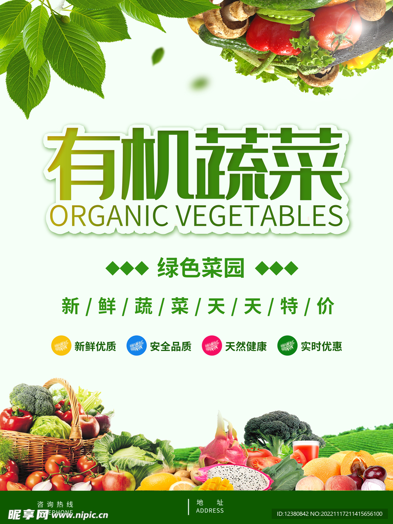 有机蔬菜