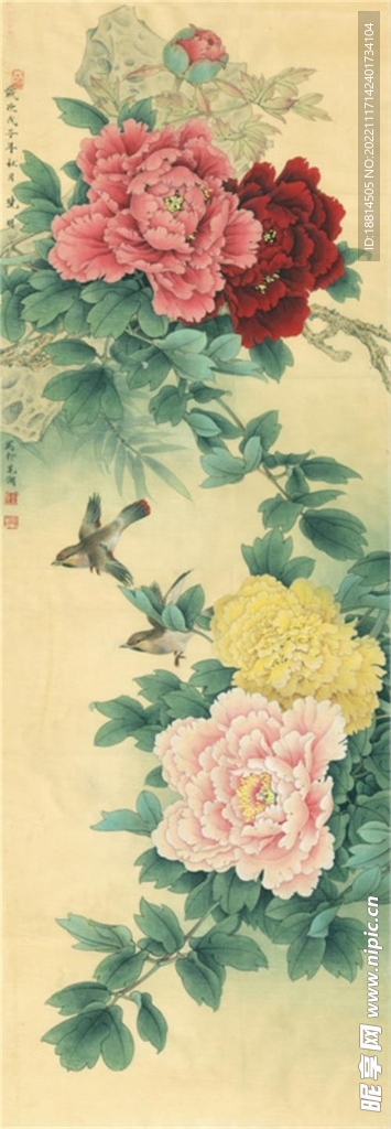 牡丹
