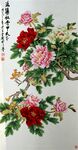 牡丹花