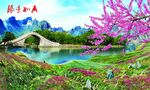 花开四季