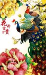 孔雀
