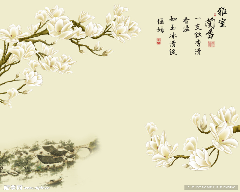 兰花 