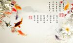 锦鲤
