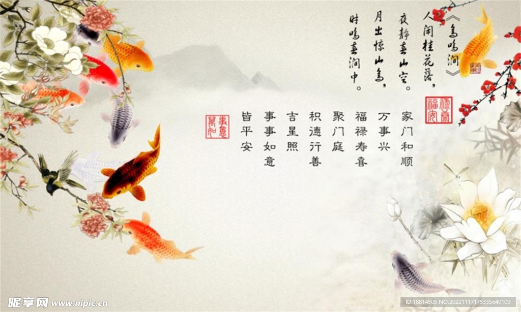 锦鲤